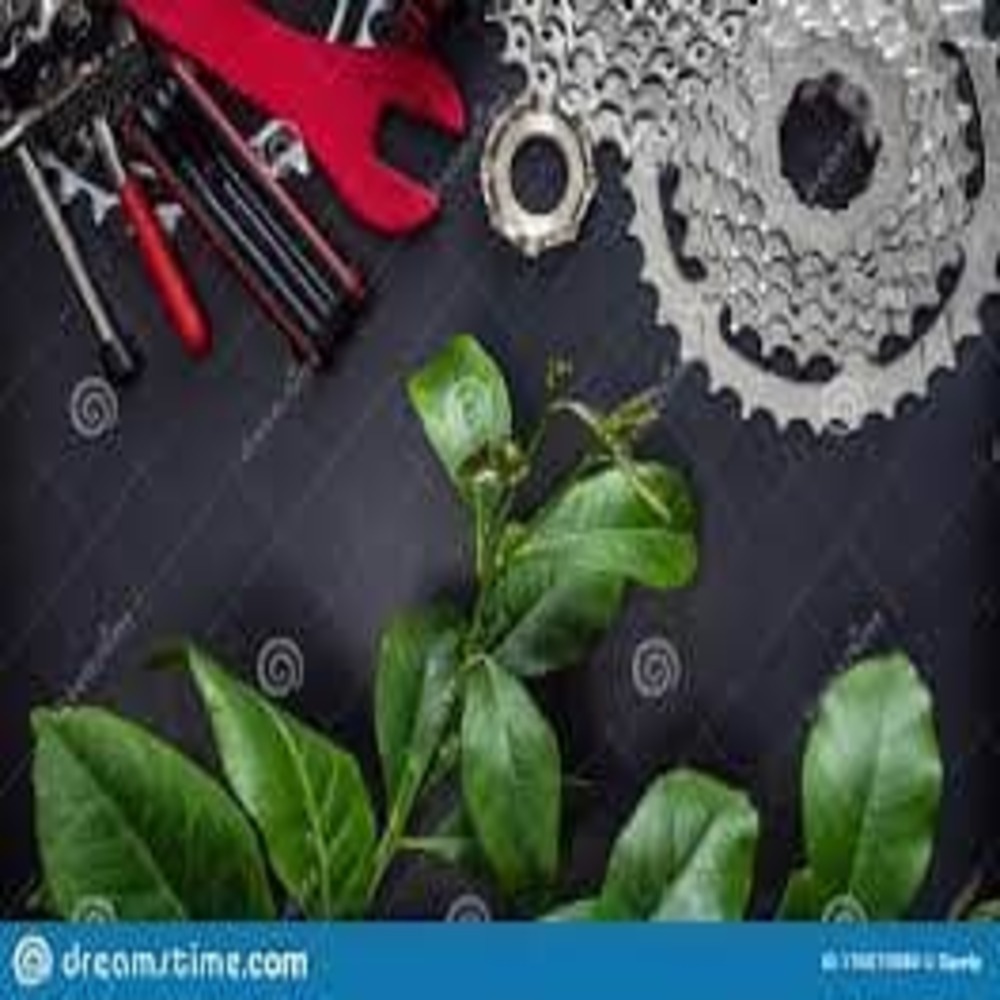 Cycle Spares & Maintenance